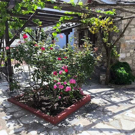 Venus Guesthouse Πορταριά Εξωτερικό φωτογραφία