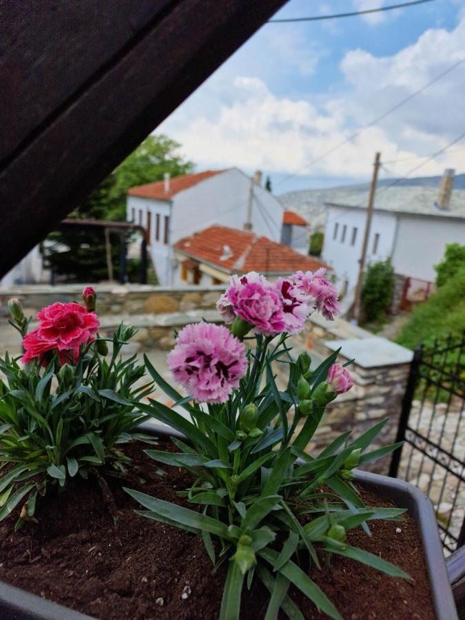 Venus Guesthouse Πορταριά Εξωτερικό φωτογραφία