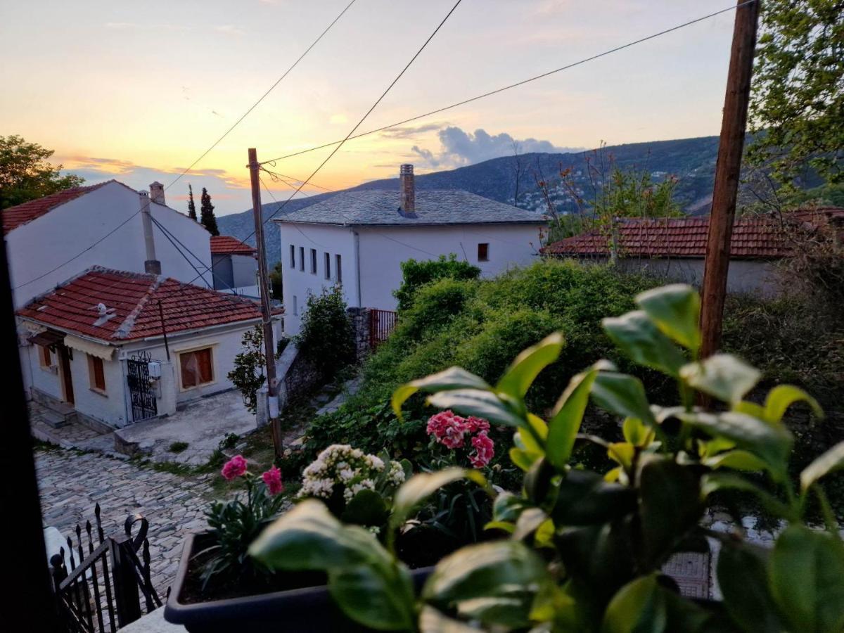 Venus Guesthouse Πορταριά Εξωτερικό φωτογραφία